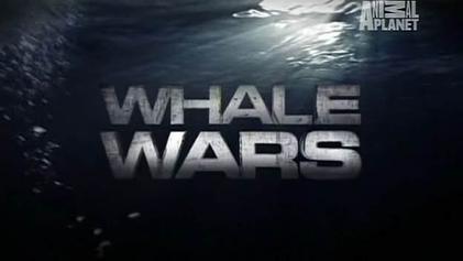 Whale Wars